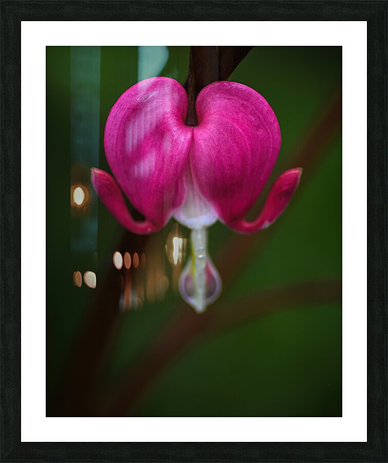 Floral Collection 2 Picture Frame print