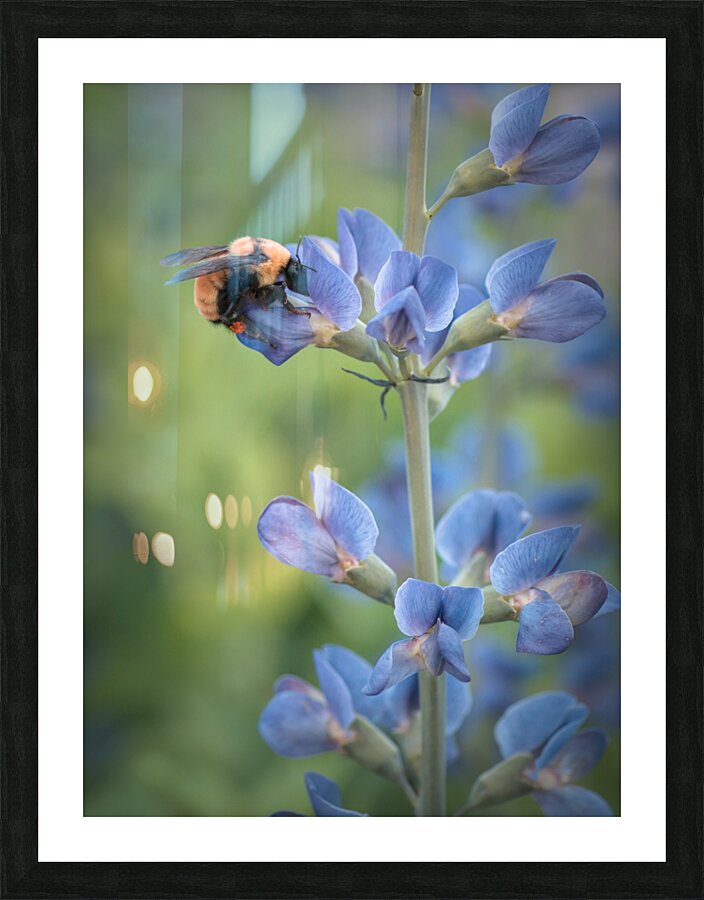 Floral Collection 2 Picture Frame print