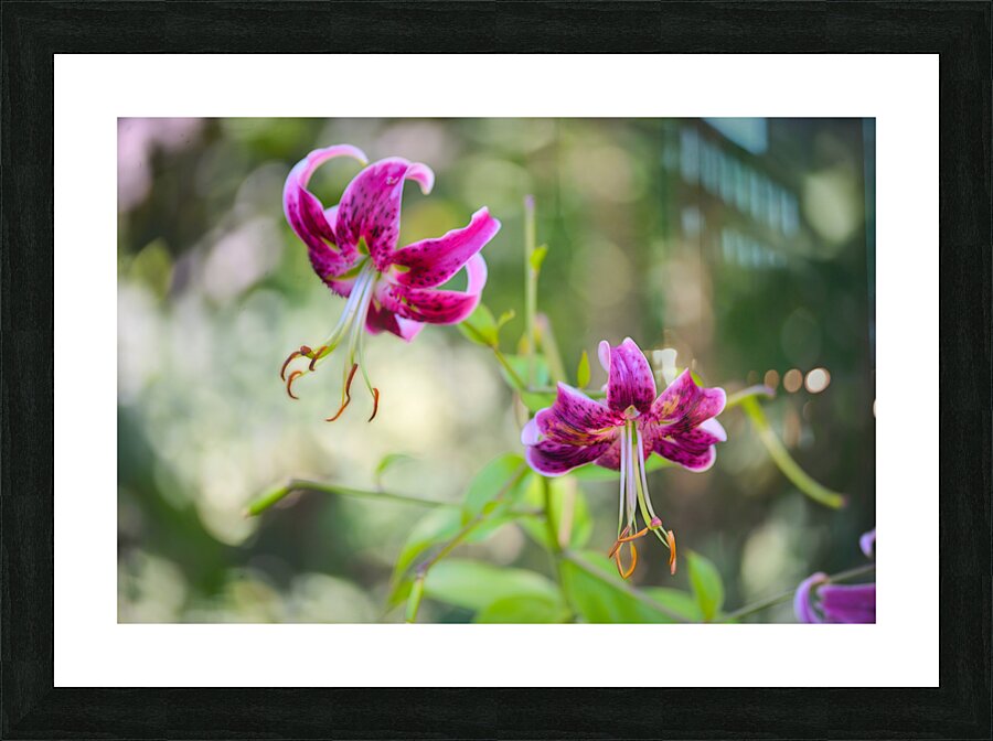 Floral Collection 3 Picture Frame print