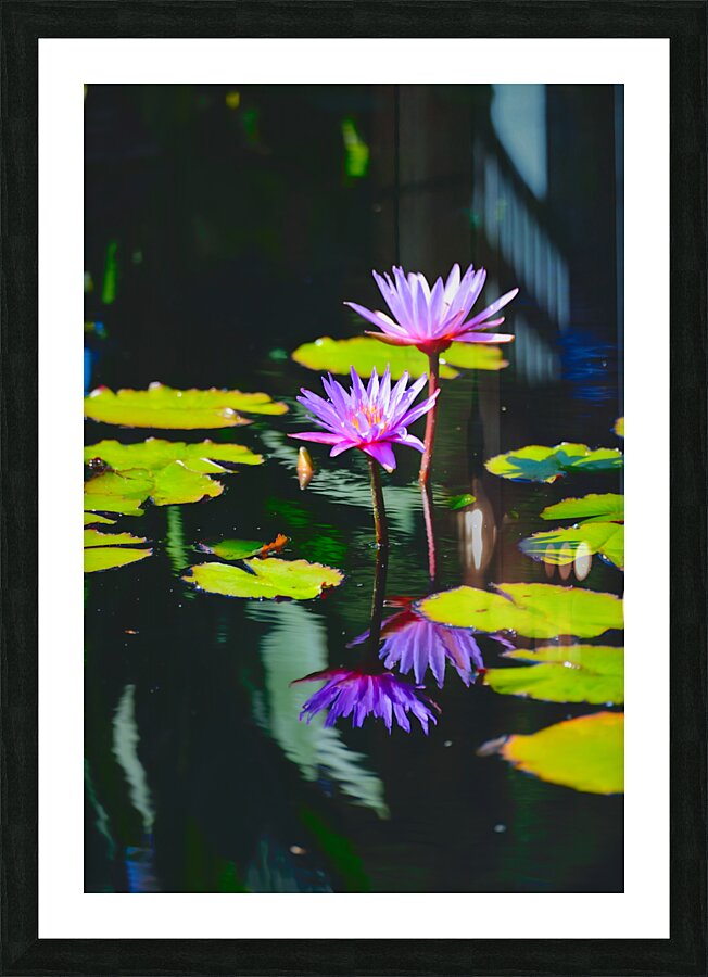 Floral Collection 4 Picture Frame print