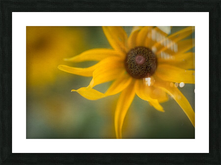 Floral Collection 4 Picture Frame print