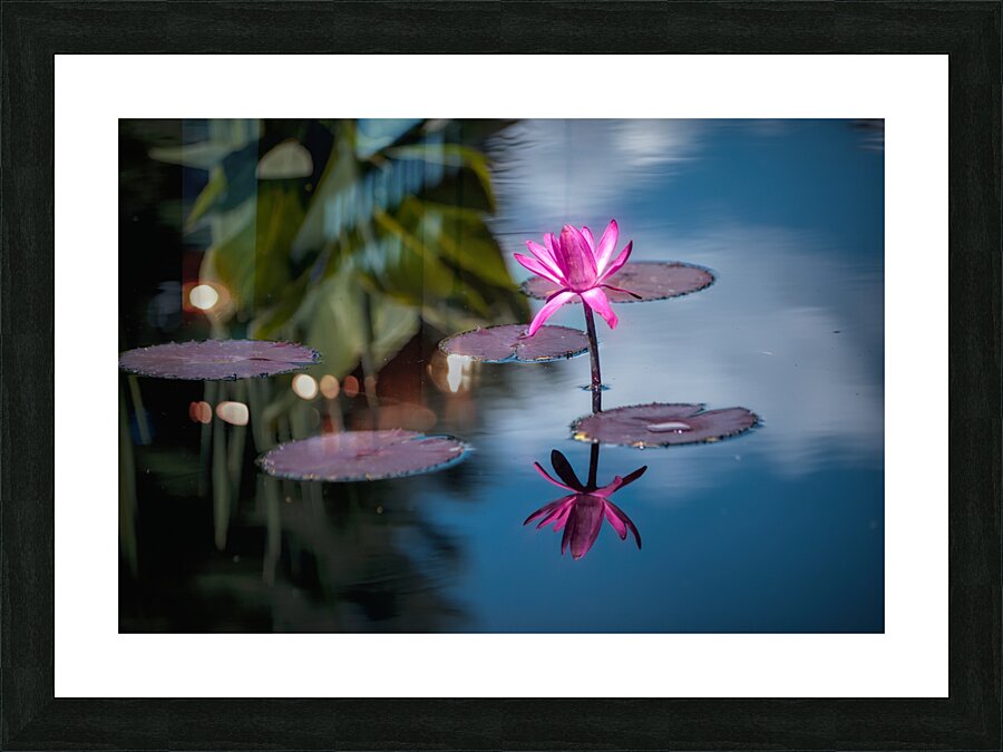 Floral Collection 6 Picture Frame print