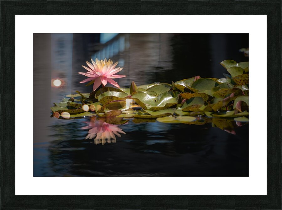 Floral Collection 8 Picture Frame print