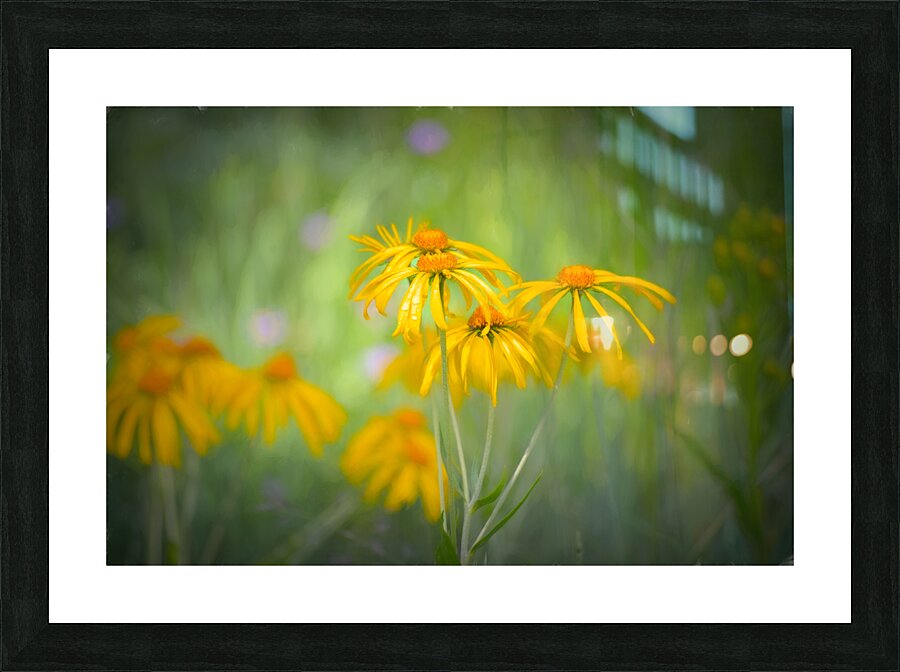 Floral Collection 3 Picture Frame print