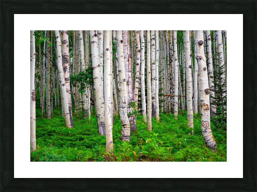 Landscape Picture Frame print