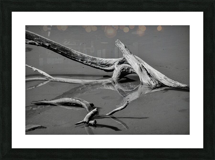 black and white reflection Picture Frame print