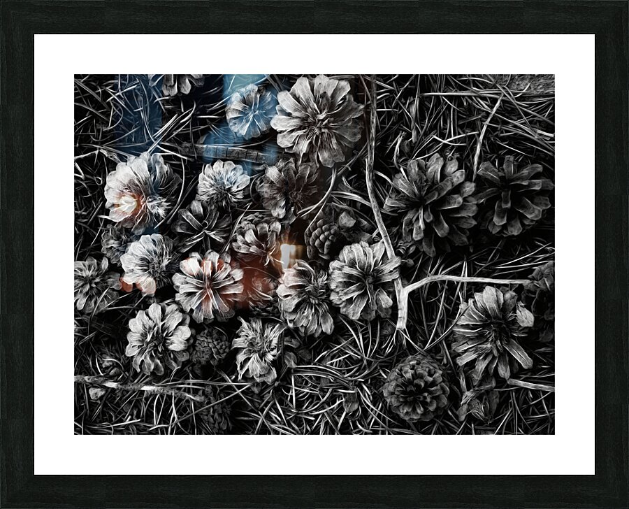 black and white Picture Frame print