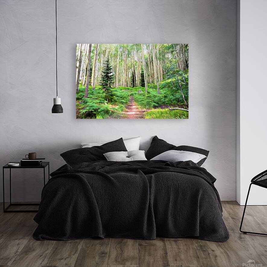 Colorado Landscapes 26 Reproduction