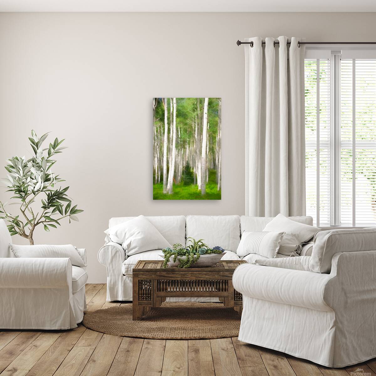 Colorado Landscapes 25 Reproduction