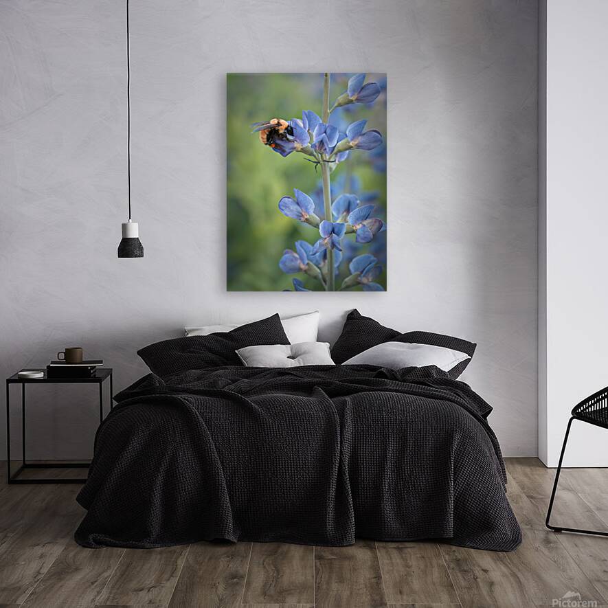 Floral Collection 2 Reproduction