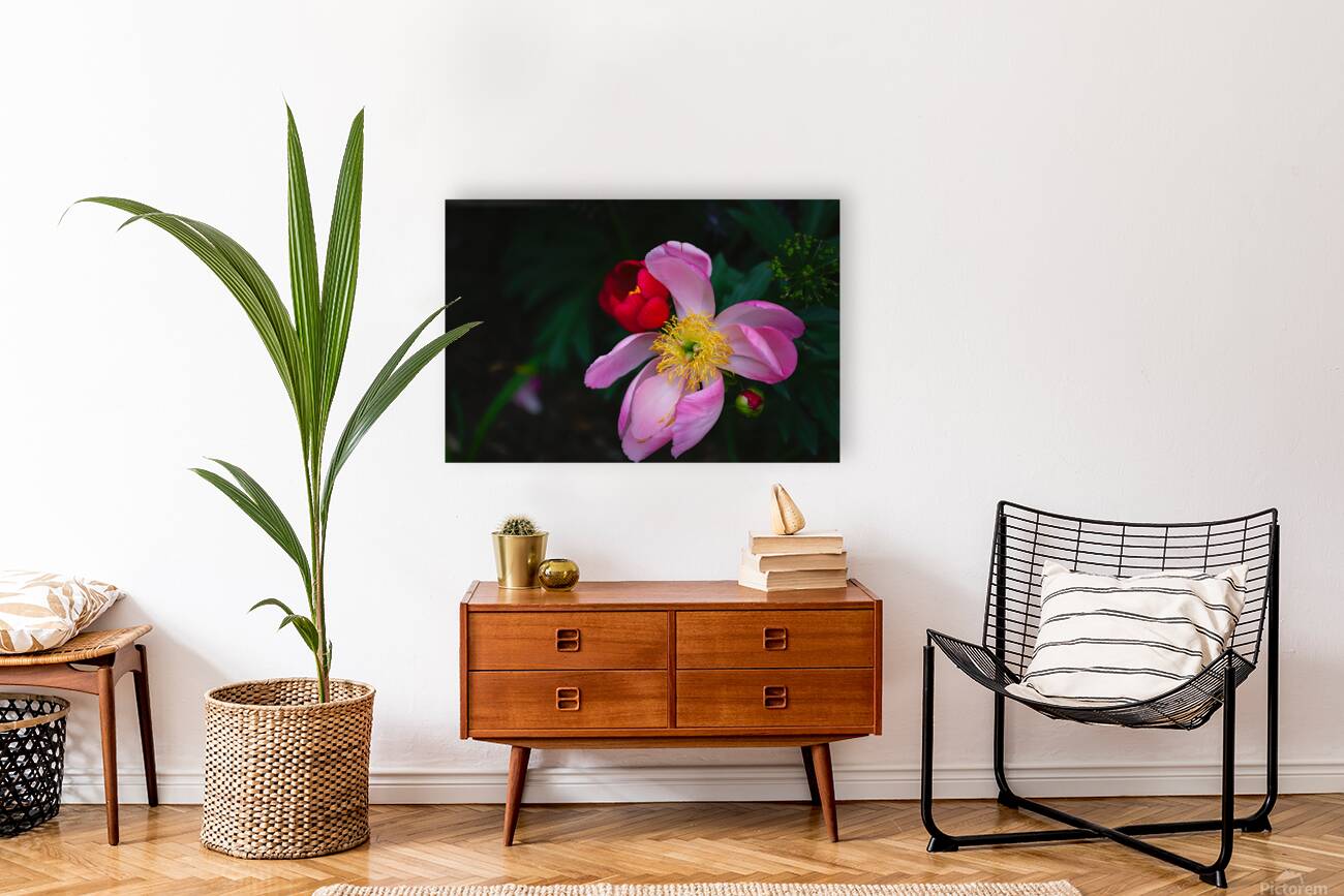 Floral Collection 3 Reproduction