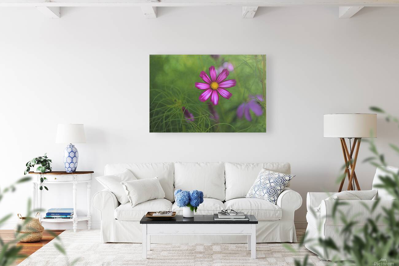 Floral Collection 5 Reproduction