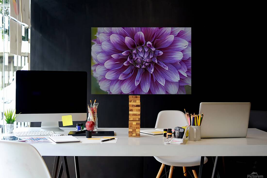 Floral Collection 2 Reproduction