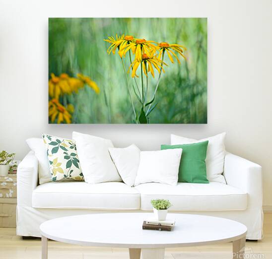 Floral Collection 2 Reproduction