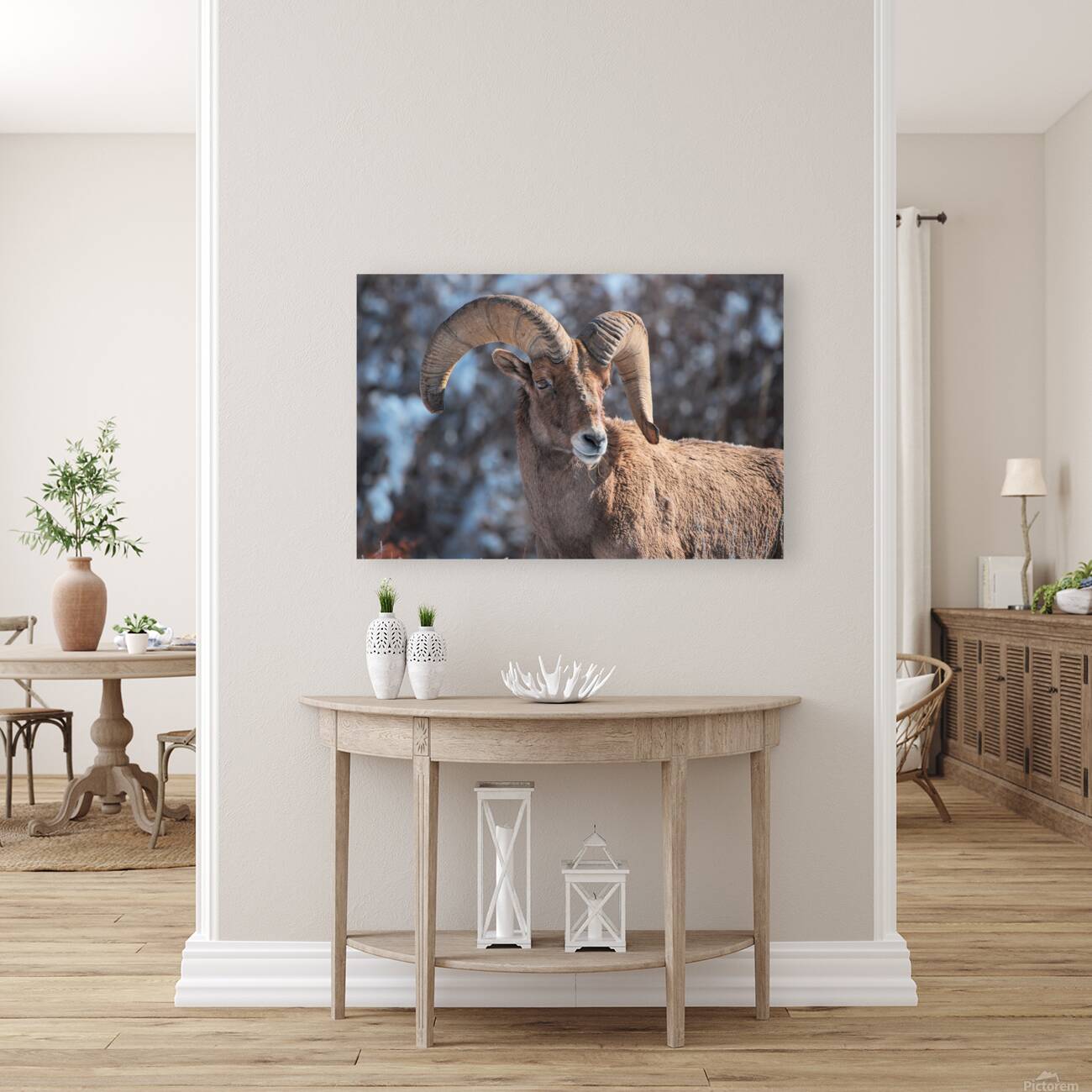 Wildlife Reproduction