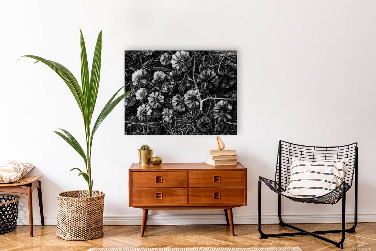 black and white Reproduction