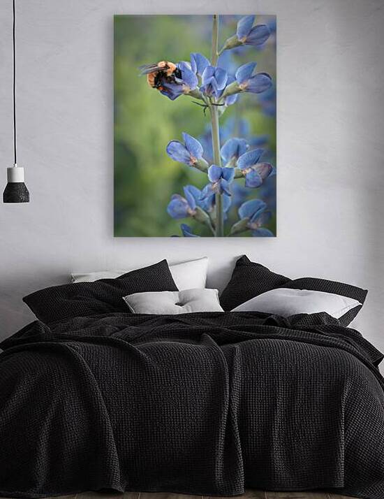 Floral Collection 2 Reproduction