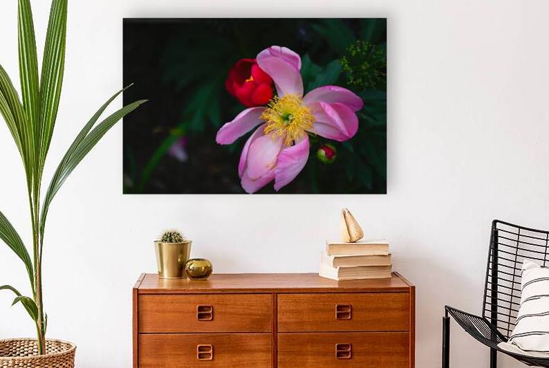 Floral Collection 3 Reproduction