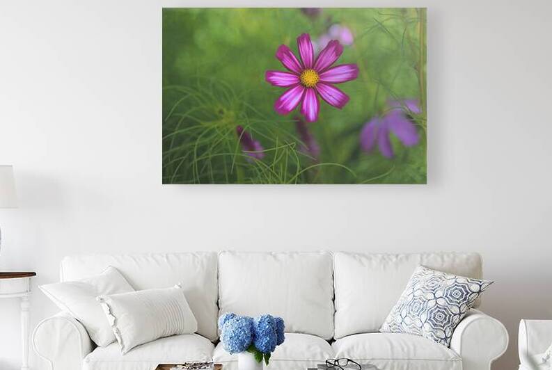 Floral Collection 5 Reproduction