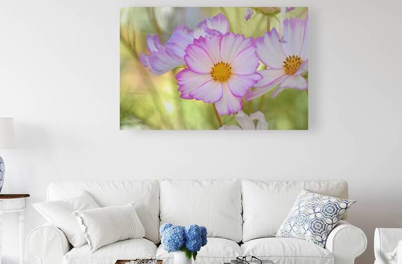 Floral Collection 1 Reproduction