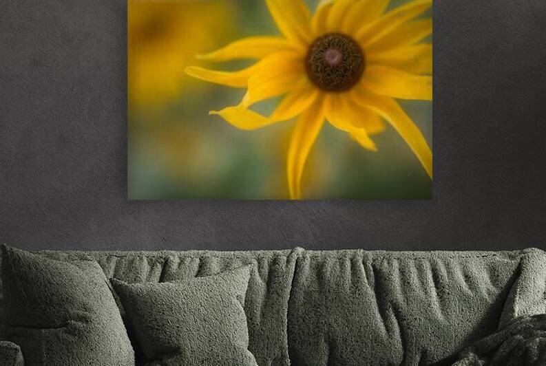 Floral Collection 4 Reproduction