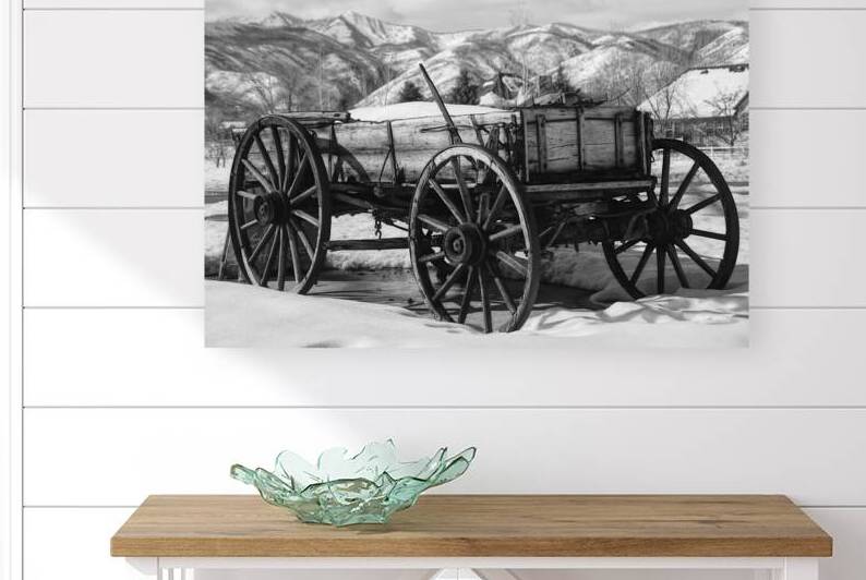 black and white Reproduction