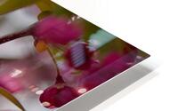 Floral Collection 2 HD Metal print