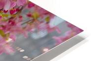 Floral Collection 4 HD Metal print