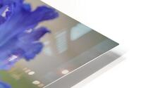 Floral Collection 2 HD Metal print