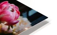Floral Collection 4 HD Metal print