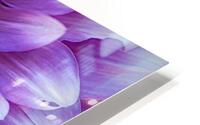 Floral Collection 2 HD Metal print