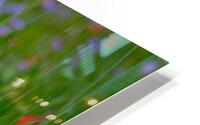 Floral Collection 1 HD Metal print