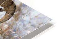 Wildlife HD Metal print