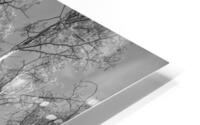 Looking up HD Metal print