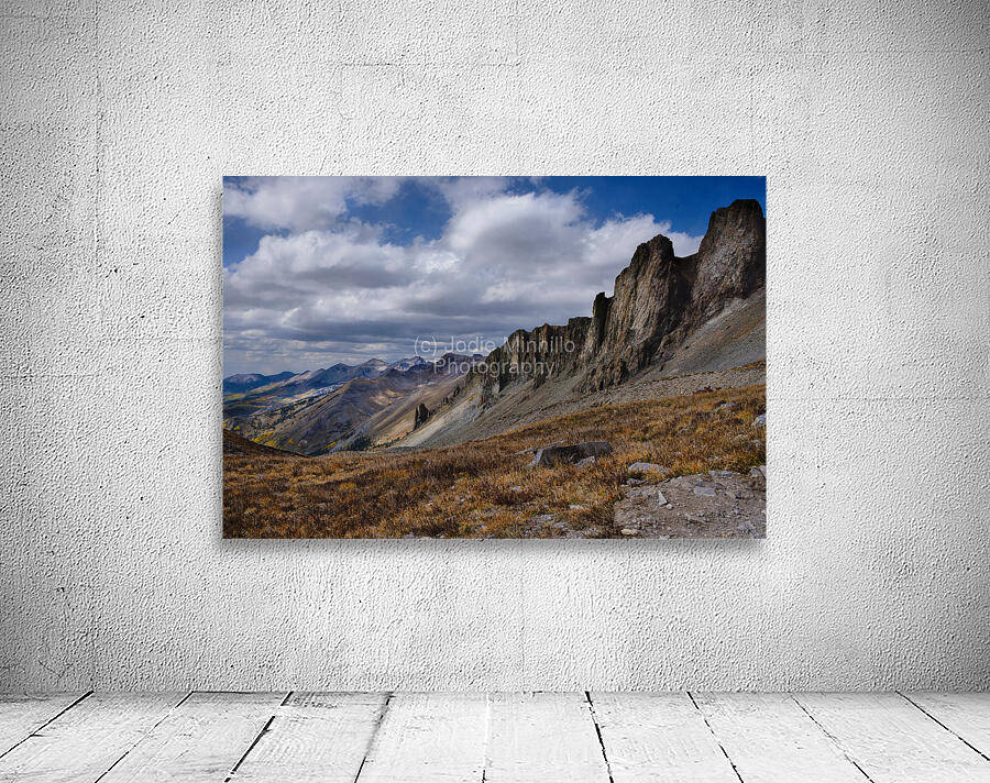 Colorado Landscapes 4 Wall Preview