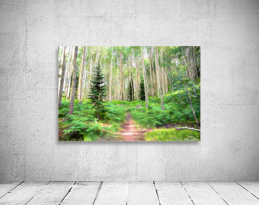 Colorado Landscapes 26 Wall Preview