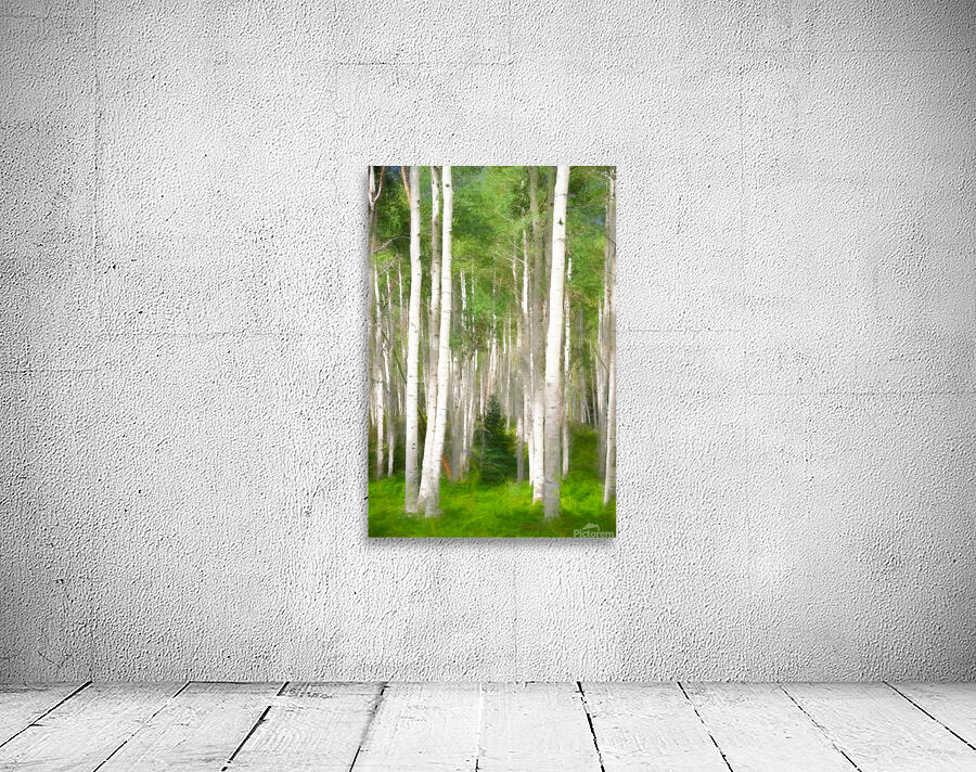 Colorado Landscapes 25 Wall Preview