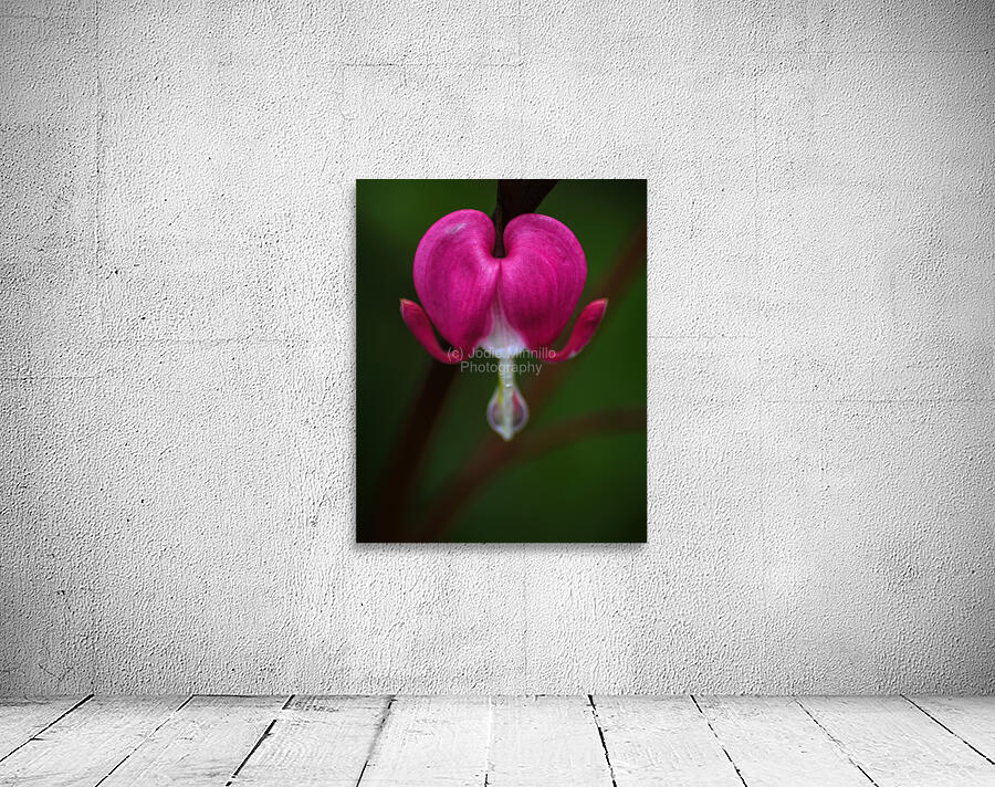 Floral Collection 2 Wall Preview