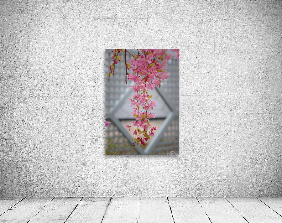 Floral Collection 4 Wall Preview