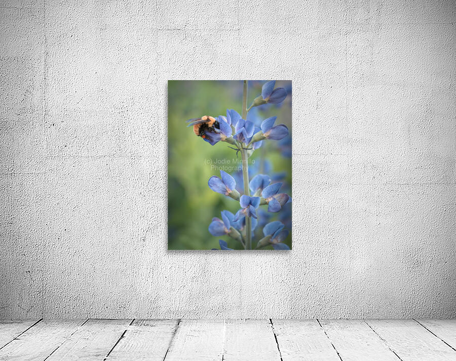Floral Collection 2 Wall Preview
