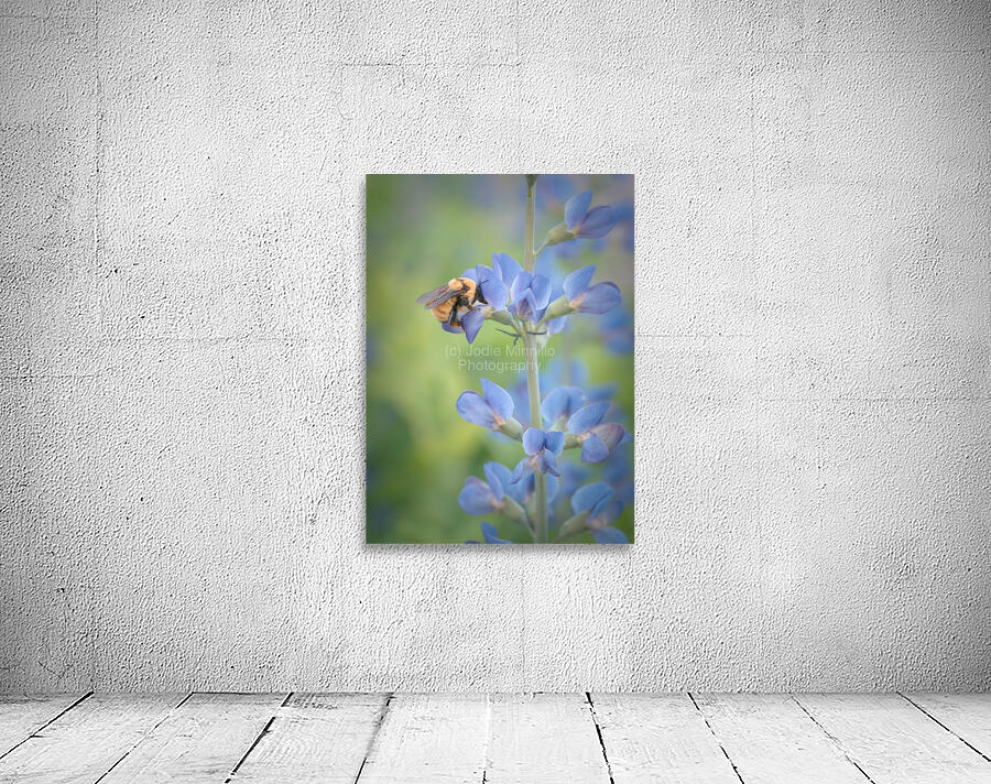 Floral Collection 3 Wall Preview