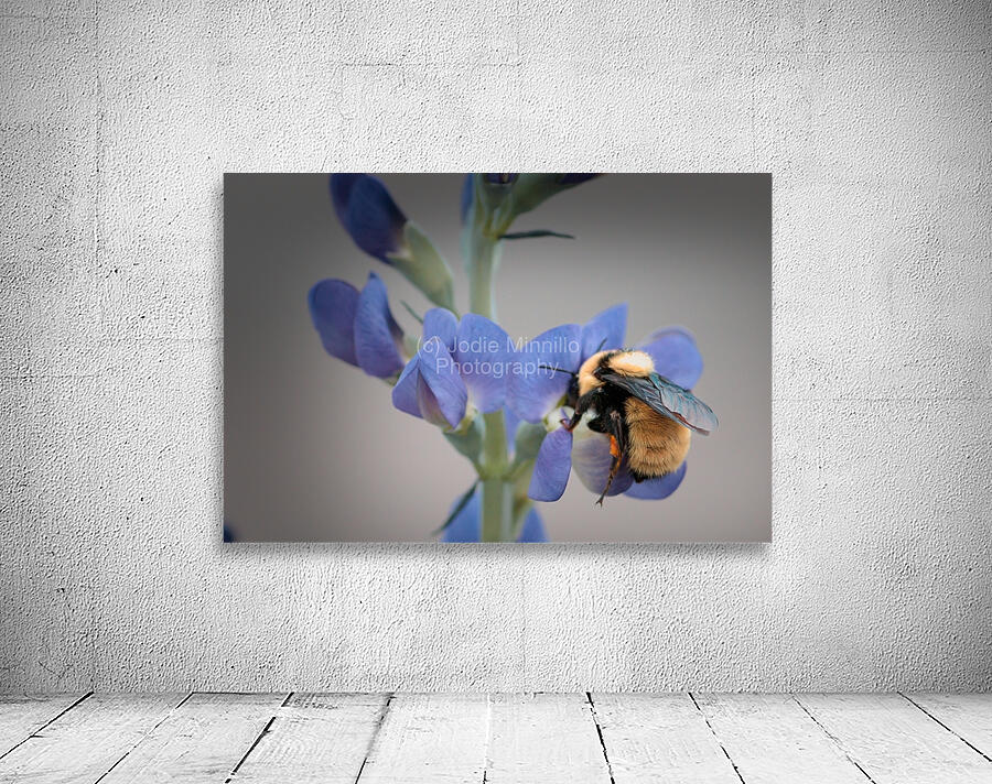 Floral Collection 4 Wall Preview