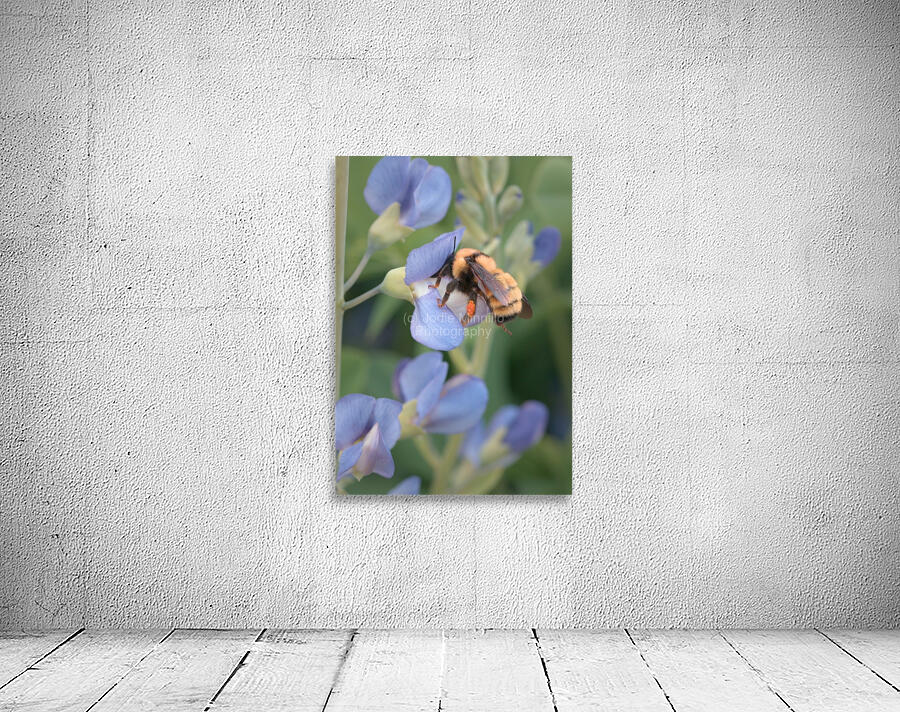 Floral Collection 5 Wall Preview