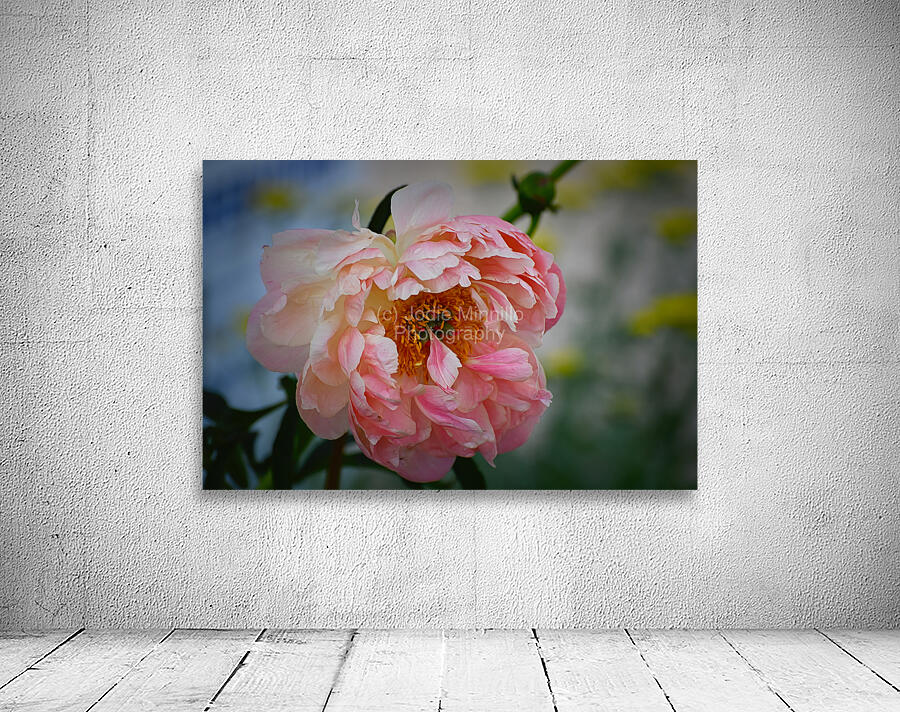 Floral Collection 1 Wall Preview