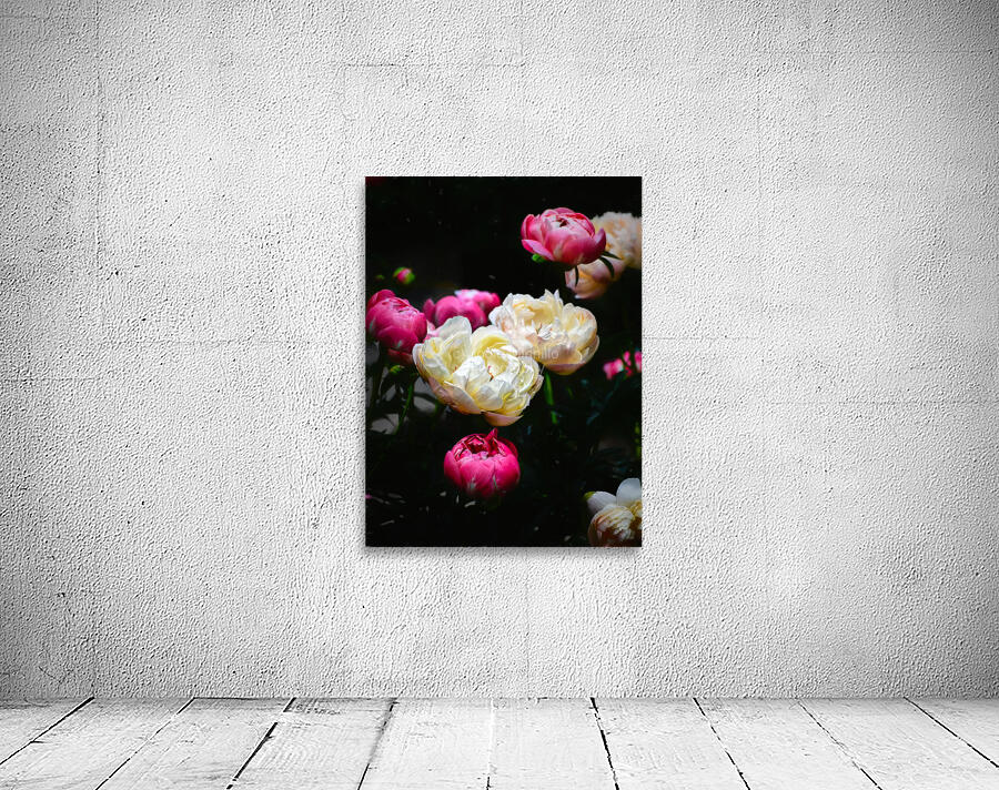 Floral Collection 4 Wall Preview