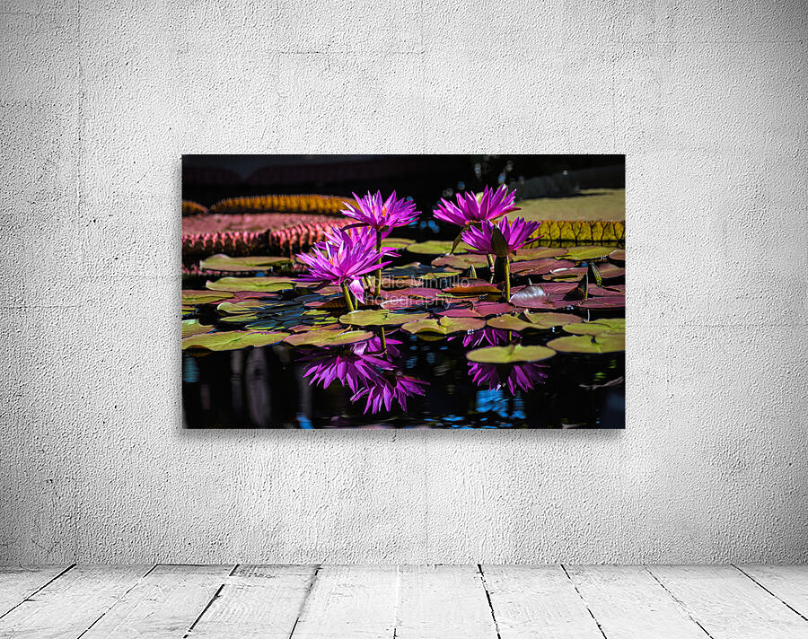 Floral Collection 2 Wall Preview