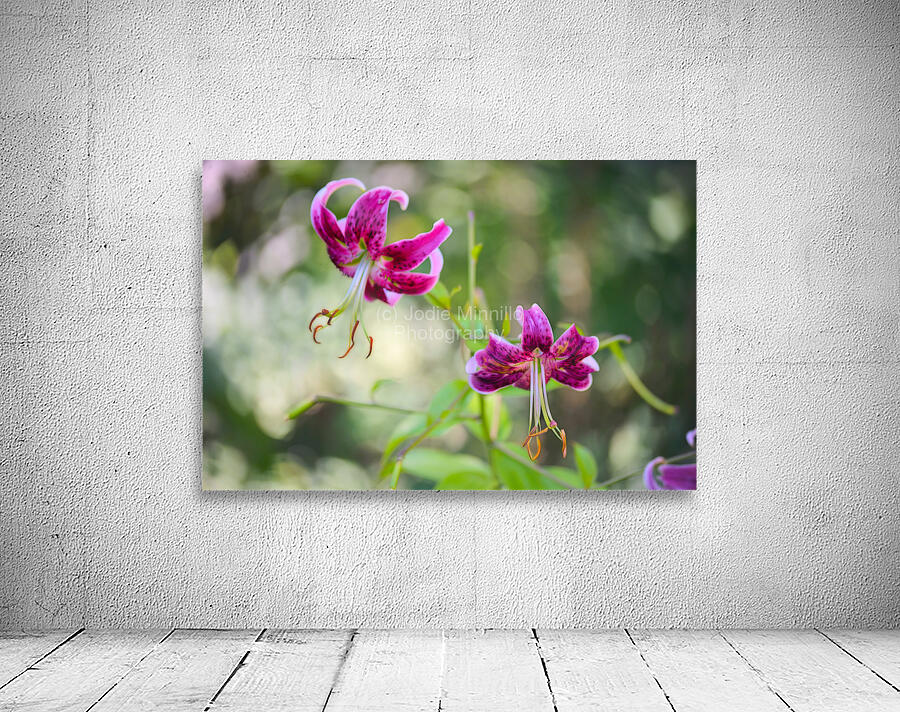 Floral Collection 3 Wall Preview