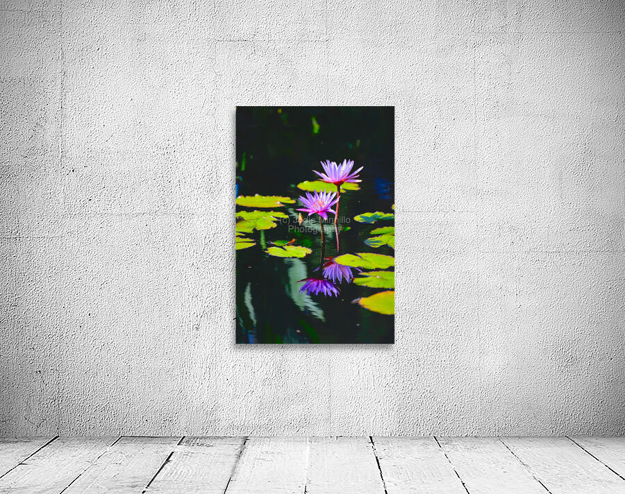 Floral Collection 4 Wall Preview