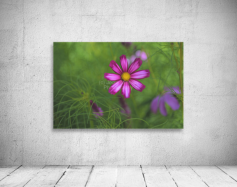 Floral Collection 5 Wall Preview