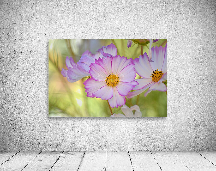Floral Collection 1 Wall Preview